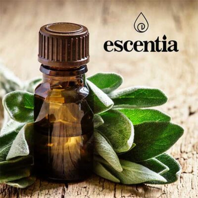 Escentia Perfume Base 500ml