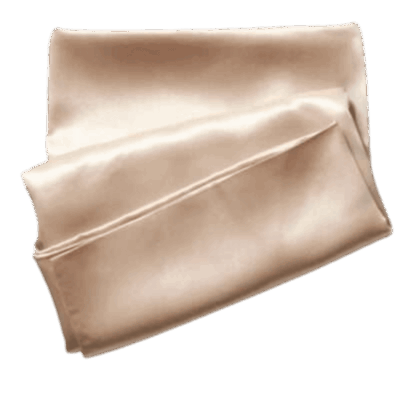 Celluvac Mulberry Silk Pillow Case