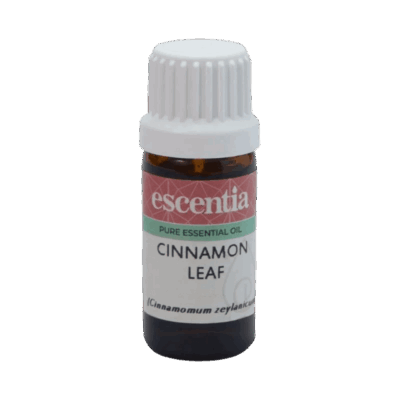 Escentia Cinnamon Leaf Pure Essential Oil 20ml