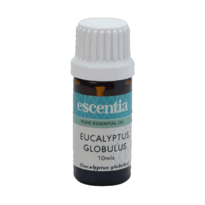Escentia Eucalyptus Globulus Essential Oil 10