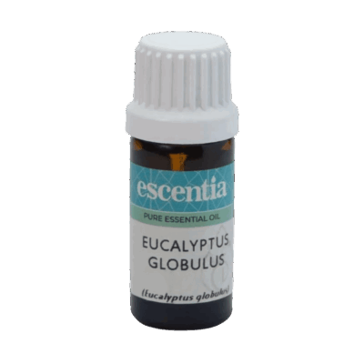 Escentia Eucalyptus Globulus Essential Oil 20ml