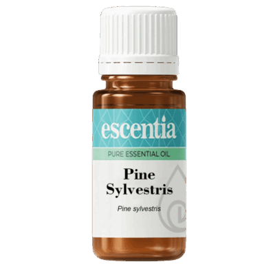 Escentia Pine Sylvestris Essential Oil 20ml