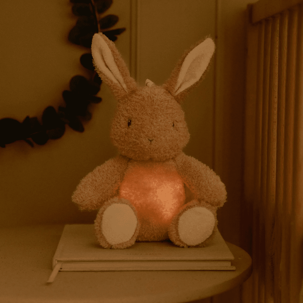 Little Dutch Cuddle Bunny Light & Sound - Image 2