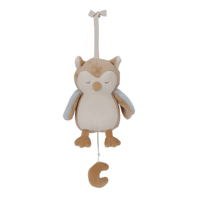 Little Dutch Music Box - Owl Forest Friensds