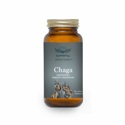 Soaring Free Chaga 90 Capsules