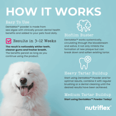 Nutriflex Dentamax Dental Powder Pouch 100g