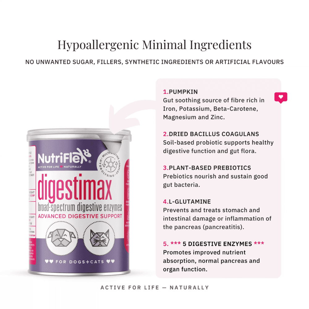 Nutriflex Digestimax Probiotic 180g - Image 2