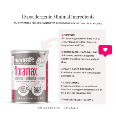 Nutriflex Floramax Prebiotic & Probiotic 180g
