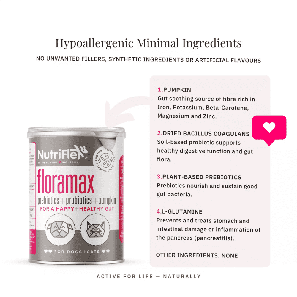 Nutriflex Floramax Prebiotic & Probiotic 180g - Image 2