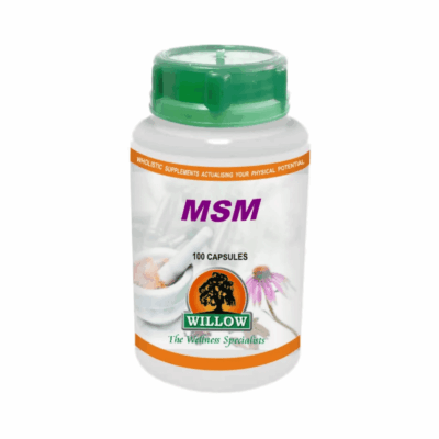 Willow MSM 100 Capsules